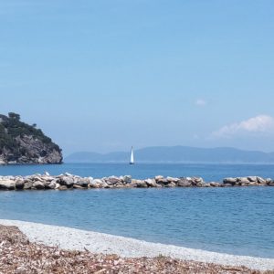 IMG_20190601_191558_050