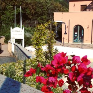 IMG_20190523_201128_407